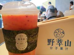-野萃山·潮汕厚果汁(十亩地店)