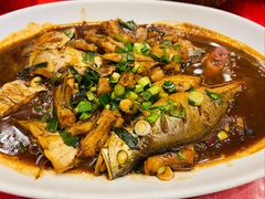 红烧海朋友鱼-侬佳蒸菜馆(听潮店)