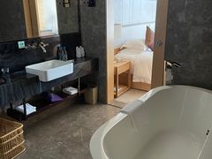 -河源万绿湖美思威尔顿酒店