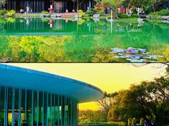 -云溪植物园