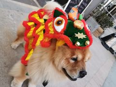 -隹木咖啡馆(宝龙广场店)