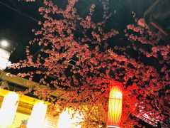 大堂-小龙坎老火锅(金柏林店)