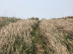 -嵛山岛