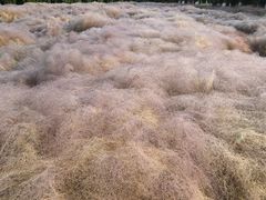 -华山御温泉度假村