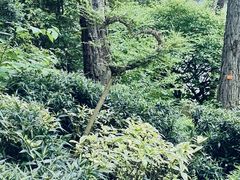 -庐山西海主景区