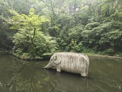 -紫霞湖公园