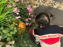 -第101座花园餐厅(湖滨88店)