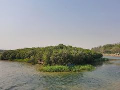 -丁香湖公园