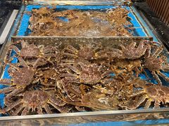 -蟹将军·松叶蟹和牛日料放题自助(K11店)