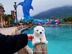 -珠海长隆海洋王国