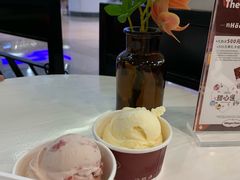 -哈根达斯(天河城店)