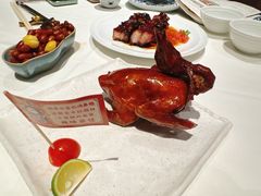 -侨美食家·40年地道粤菜(珠江新城店)