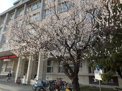 -吉林大学(南岭校区)
