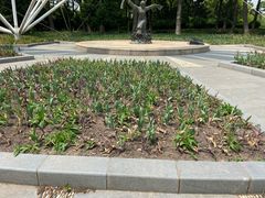 -上海鲜花港