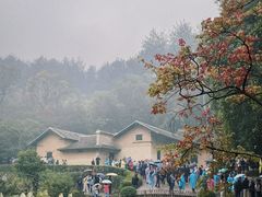 -韶山毛泽东同志故居