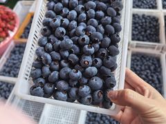 -南坛综合农贸市场