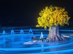 -鼎盛王朝康熙大典实景演出