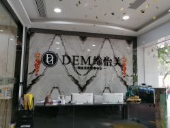 -DEM缔怡美科技美容