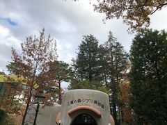 -三鹰之森吉卜力美术馆