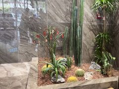 -铂尔登智慧酒店(南山西丽地铁站店)