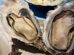 -千岛蚝高压锅生蚝·人参火锅(白云万达店)