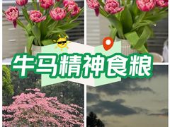 -盒马鲜生(岭南新世界店)