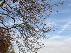 -楼外楼(西湖景区孤山路店)