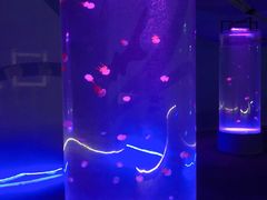 -北戴河圣蓝海洋公园