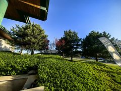 -万柳高尔夫俱乐部