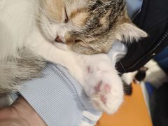 -平行世界·猫咖(首经贸店)
