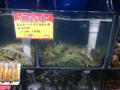 -蚝专家(北滘店)
