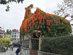 -南丫岛