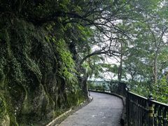 -太平山顶