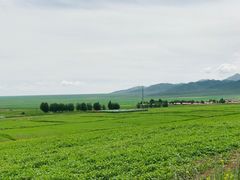 -扁都口生态休闲旅游区