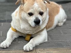 -管氏翅吧(护国寺店)