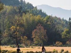 -塔川景区