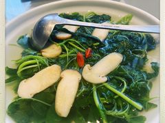 松茸苋菜汤-悦融·京鲁菜·露台花园(安定门店)