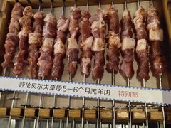 呼伦贝尔羊肉串-很久以前羊肉串(簋街店)
