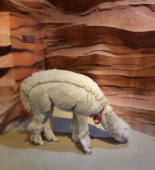 -酷嗒动物文化乐园(cutezoo西溪乐天城店)