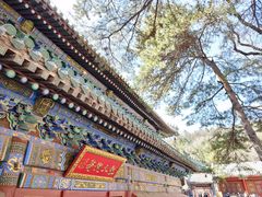-潭柘寺景区