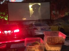 -枫花园汽车电影院(朝阳公园店)