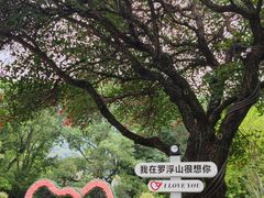 -满記土窑烧鷄波浪山莊