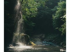 -西岭雪山大飞水景区