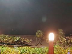 -渔家火锅·海鲜自助餐·演艺(亚龙湾天域酒店)