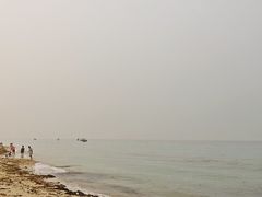 -贝壳沙滩