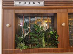 -三猫黑鱼花(南大店)