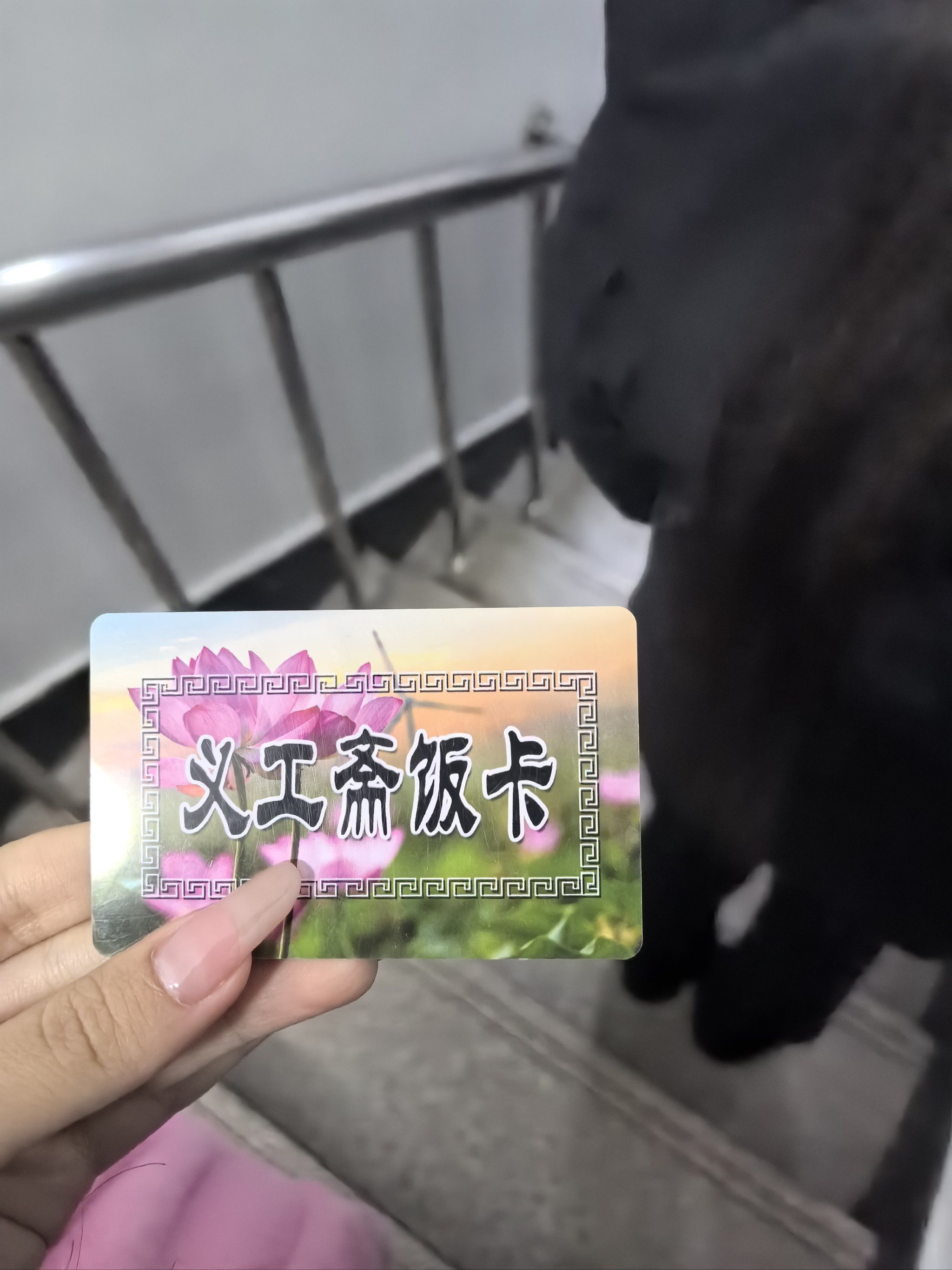 今日打卡祈福地