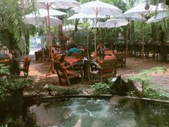 -Fern Forest Cafe