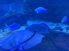 -秦皇岛新澳海底世界