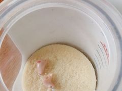 -自然之声助听器·呼吸机(兰考店)